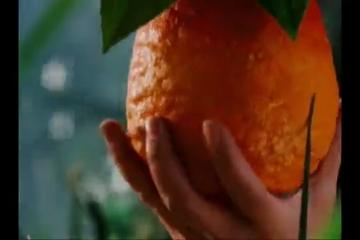 Hazrat Adam and Bibi Hawa